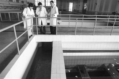 2012年5月17日，北京第九水厂，一位工作人员（右）在介绍自来水的生产流程。新京报记者 薛珺 摄